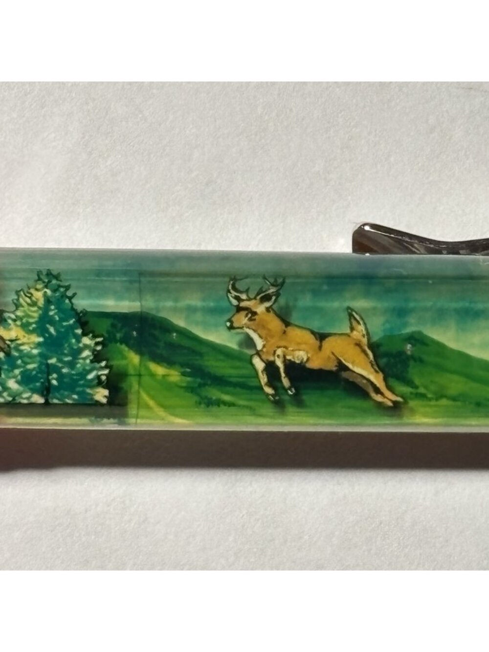 Pipestem State Park West Virginia WVA Floaty Pen Deer Moves Resort Souvenir Vtg